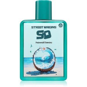 Street Origins Hawaii Beau parfémovaná voda pro muže 75 ml obraz