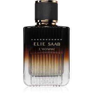 Elie Saab L'HOMME Intense parfémovaná voda plnitelná pro muže 100 ml obraz