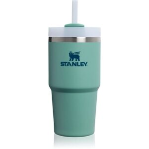 Stanley Quencher H2.O FlowState™ Tumbler nerezový tumbler s brčkem malý Spring Green 1 ks obraz