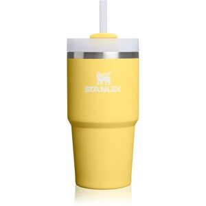 Stanley Quencher H2.O FlowState™ Tumbler nerezový tumbler s brčkem malý Daffodil 1 ks obraz