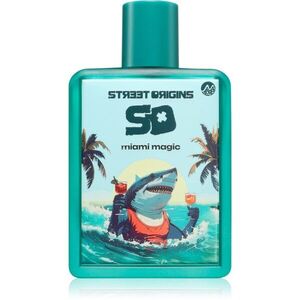 Street Origins Miami Magic parfémovaná voda pro muže 75 ml obraz