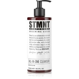 STMNT Care All-In-One Cleanser šampon na vlasy, vousy a tělo 750 ml obraz