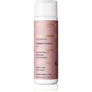 Revolution Haircare Skinification Hyaluronic hydratační kondicionér pro suché vlasy 250 ml obraz
