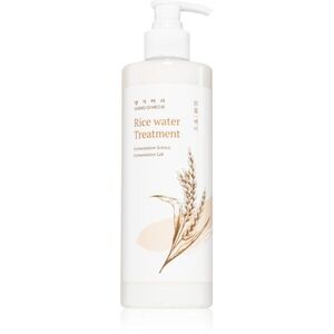 DAENG GI MEO RI Rice Water Treatment posilující péče pro suché, namáhané vlasy 400 ml obraz