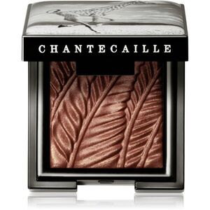 Chantecaille Luminescent Eye Shades perleťové oční stíny Giraffe 2.5 g obraz
