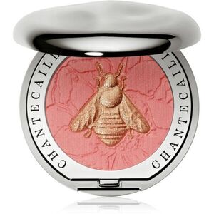 Chantecaille Cheek Shades tvářenka 2.5 g obraz