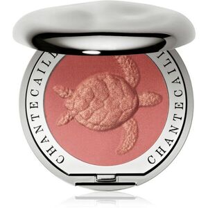 Chantecaille Cheek Shades tvářenka Turtle Grace 2.5 g obraz