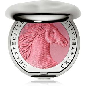 Chantecaille Cheek Shades tvářenka Horse Joy 2.5 g obraz