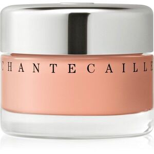 Chantecaille Future Skin Gel Foundation hydratační make-up s rozjasňujícím efektem Nude 4N 30 g obraz