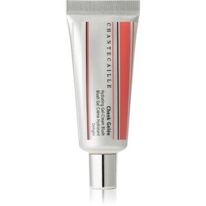 Chantecaille Cheek Gelée Hydrating Gel-Cream Blush krémová tvářenka s hydratačním účinkem Delight 21.62 ml obraz