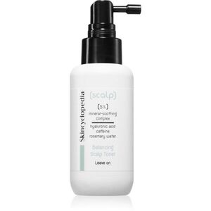 Skincyclopedia Scalp zklidňující tonikum na hlavu 100 ml obraz