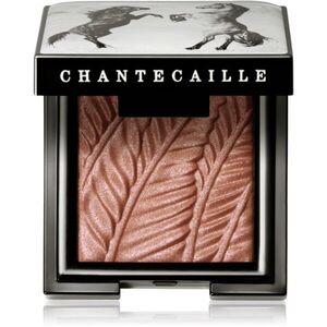 Chantecaille Luminescent Eye Shades perleťové oční stíny Mustang 2.5 g obraz