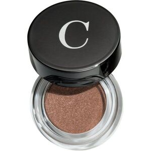 Chantecaille Mermaid Eye Matte dlouhotrvající oční stíny s vyhlazujícím efektem Sylvie 4 g obraz
