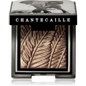 Chantecaille Luminescent Eye Shades perleťové oční stíny Elephant 2.5 g obraz