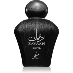 Khadlaj Zayaan Silver parfémovaná voda pro muže 100 ml obraz