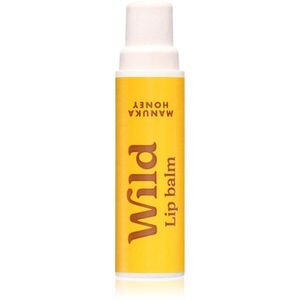 Wild Honey Refill balzám na rty – náhradní náplň 4.5 g obraz