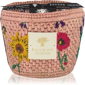 Baobab Collection Vony Kopelika vonná svíčka 500 g obraz