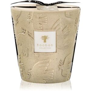 Baobab Collection Paz Paloma vonná svíčka 1000 g obraz