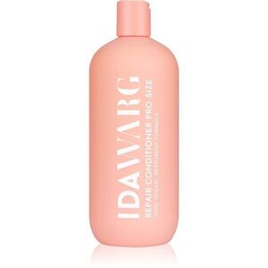 IDA WARG Beauty Repair Conditioner obnovující šampon pro suché a poškozené vlasy 500 ml obraz