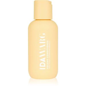 IDA WARG Beauty Volume Conditioner objemový kondicionér pro jemné a zplihlé vlasy 100 ml obraz