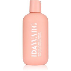 IDA WARG Beauty Repair Conditioner obnovující šampon pro suché a poškozené vlasy 250 ml obraz