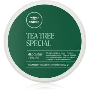 Paul Mitchell Tea Tree Special Grooming Pomade pomáda na vlasy pro definici a tvar 85 g obraz