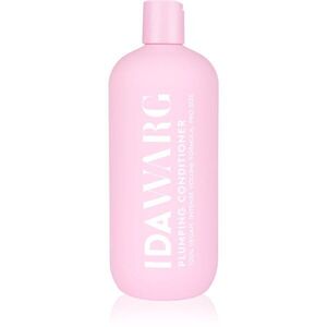 IDA WARG Beauty Plumping Conditioner objemový kondicionér 500 ml obraz