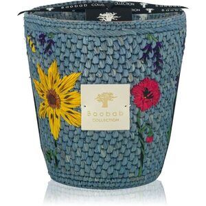 Baobab Collection Vony Tanteli vonná svíčka 1000 g obraz
