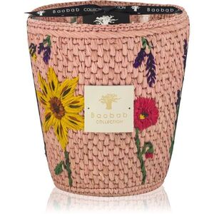 Baobab Collection Vony Kopelika vonná svíčka 1000 g obraz
