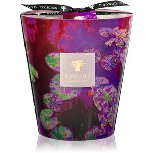 Baobab Collection Arty Flowers Water Lily vonná svíčka 1000 g obraz