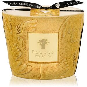 Baobab Collection Paz Dove vonná svíčka 500 g obraz