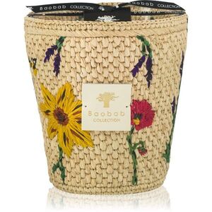 Baobab Collection Vony Ahitra vonná svíčka 1000 g obraz