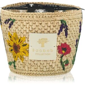 Baobab Collection Vony Ahitra vonná svíčka 500 g obraz