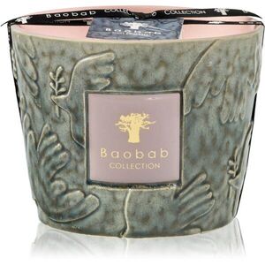 Baobab Collection Paz Colombe vonná svíčka 500 g obraz