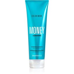 Color WOW Money Laundering Hydrating Shampoo hydratační šampon 250 ml obraz