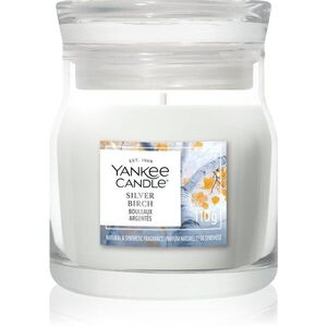 Yankee Candle Silver Birch vonná svíčka Signature 110 g obraz