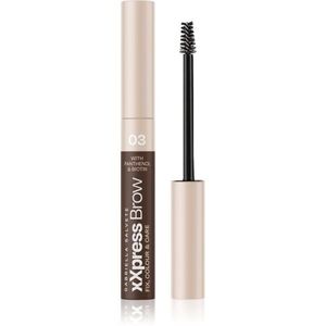 Gabriella Salvete XXPress Brow fixační gel na obočí odstín 03 6 ml obraz