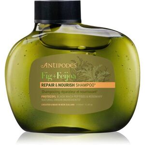 Antipodes Fig + Feijoa Repair & Nourish posilující šampon pro suché a poškozené vlasy 340 ml obraz
