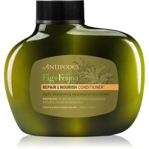 Antipodes Fig + Feijoa Repair & Nourish hloubkově vyživující kondicionér pro suché a poškozené vlasy 340 ml obraz