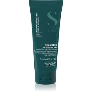 Alfaparf Milano Semi di Lino Reconstruction Reparative obnovující šampon pro poškozené vlasy 75 ml obraz