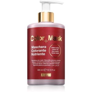 Kaypro Color Mask Nourishing Color Mask barvicí maska odstín Cherry Red 300 ml obraz