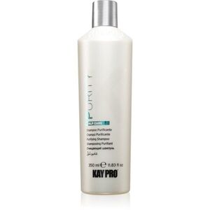 Kaypro Scalp Care Purity Shampoo šampon proti lupům 350 ml obraz