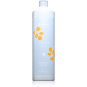 Echosline Hydrating Shampoo hydratační šampon pro suché a nepoddajné vlasy 1000 ml obraz