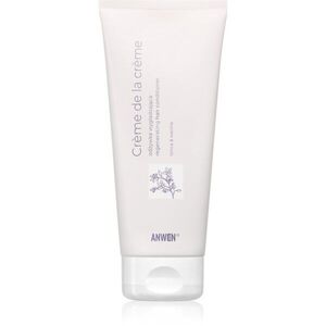 Anwen Crème de la crème regenerační kondicionér 200 ml obraz
