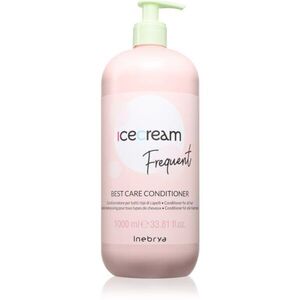 Inebrya Ice Cream Frequent Conditioner kondicionér pro objem vlasů 1000 ml obraz