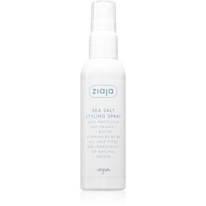 Ziaja Antioxidant Care Sea Salt Styling Spray stylingový sprej s mořskou solí 90 ml obraz