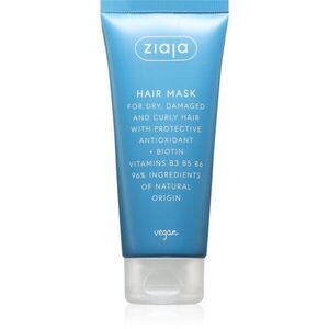 Ziaja Antioxidant Care Hair Mask maska na vlasy 100 ml obraz
