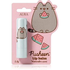 Pusheen Lip Balm balzám na rty odstín Watermelon 3.8 g obraz