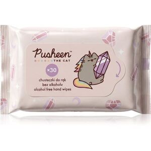 Pusheen Wet wipes vlhčené ubrousky pro děti 30 ks obraz