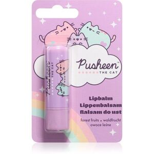 Pusheen Lipbalm balzám na rty odstín 3.8 g obraz
